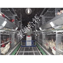 家畜饲养机械产品精选 提升养殖效率与现代化水平