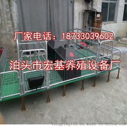 2025年泊头衡沣养殖设备技术报告 关于适配东亚瘦肉型猪周转设施的技术优化方案